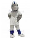 Dolphin mascot costume