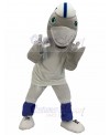 Dolphin mascot costume