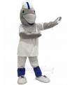 Dolphin mascot costume