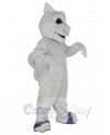 Squirrel mascot costume