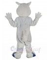 Squirrel mascot costume