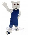 Squirrel mascot costume
