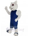 Squirrel mascot costume