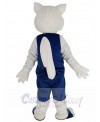 Squirrel mascot costume