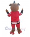 Boar mascot costume