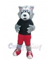 Wolf mascot costume