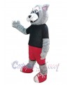 Wolf mascot costume