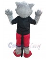 Wolf mascot costume