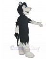 Wolf mascot costume