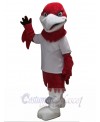 Eagle mascot costume