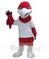 Eagle mascot costume