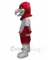 Eagle mascot costume