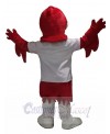 Eagle mascot costume