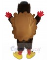 Turkey mascot costume