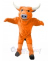 Bull mascot costume