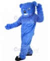 Bear Mascot Costume