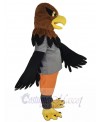 Hawk mascot costume