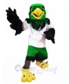 Hawk mascot costume