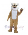 Bobcat mascot costume