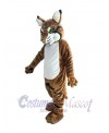 Bobcat mascot costume