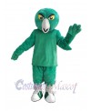 Owl mascot costume