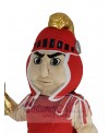 Knight mascot costume