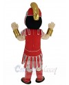 Knight mascot costume