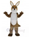 Kangaroo mascot costume