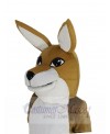 Kangaroo mascot costume