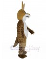 Kangaroo mascot costume