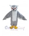 Owl mascot costume