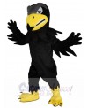 Falcon mascot costume