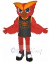 Owl mascot costume