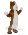 Hamster mascot costume