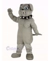 Gray Bulldog Mascot Costume