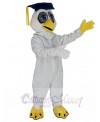 Owl mascot costume