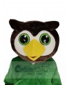 Owl mascot costume