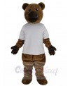 Bear mascot costume