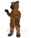 Bear mascot costume