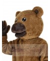 Bear mascot costume