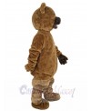 Bear mascot costume