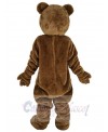 Bear mascot costume