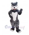 Dog mascot costume