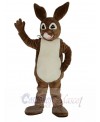 Brown Peter Rabbit Mascot Costume Cartoon