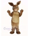 Peter Rabbit Mascot Costume