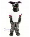 Whippet Dog in T-shirt Mascot Costumes Cartoon