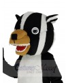 Badger mascot costume