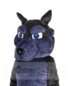 Wolf mascot costume
