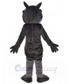 Wolf mascot costume