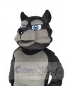 Wolf mascot costume